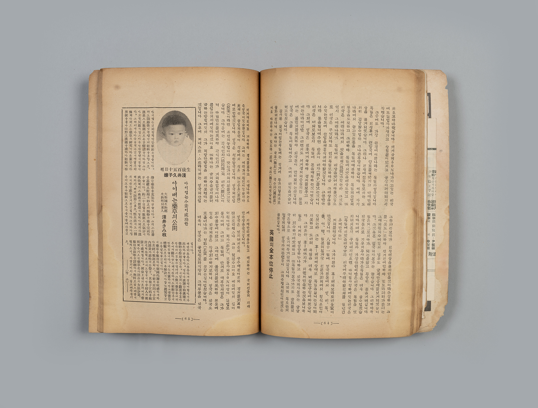 신여성(新女性) 제6권 1호(1932.01)42