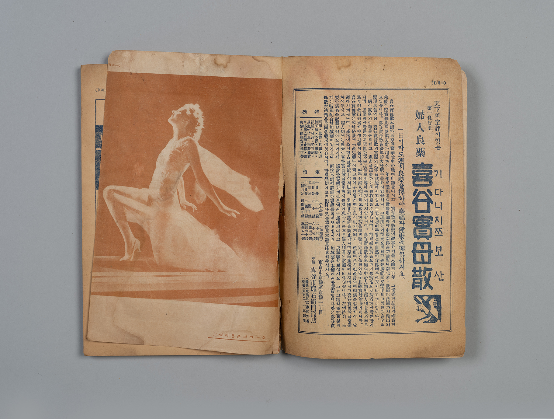신여성(新女性) 제6권 4호(1932.04)5