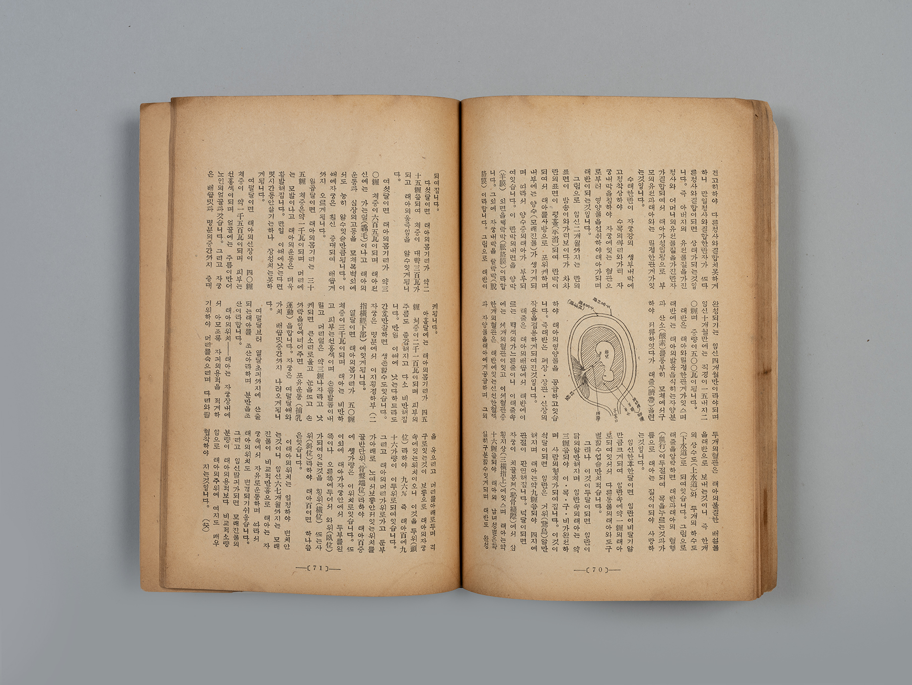 신여성(新女性) 제6권 4호(1932.04)45