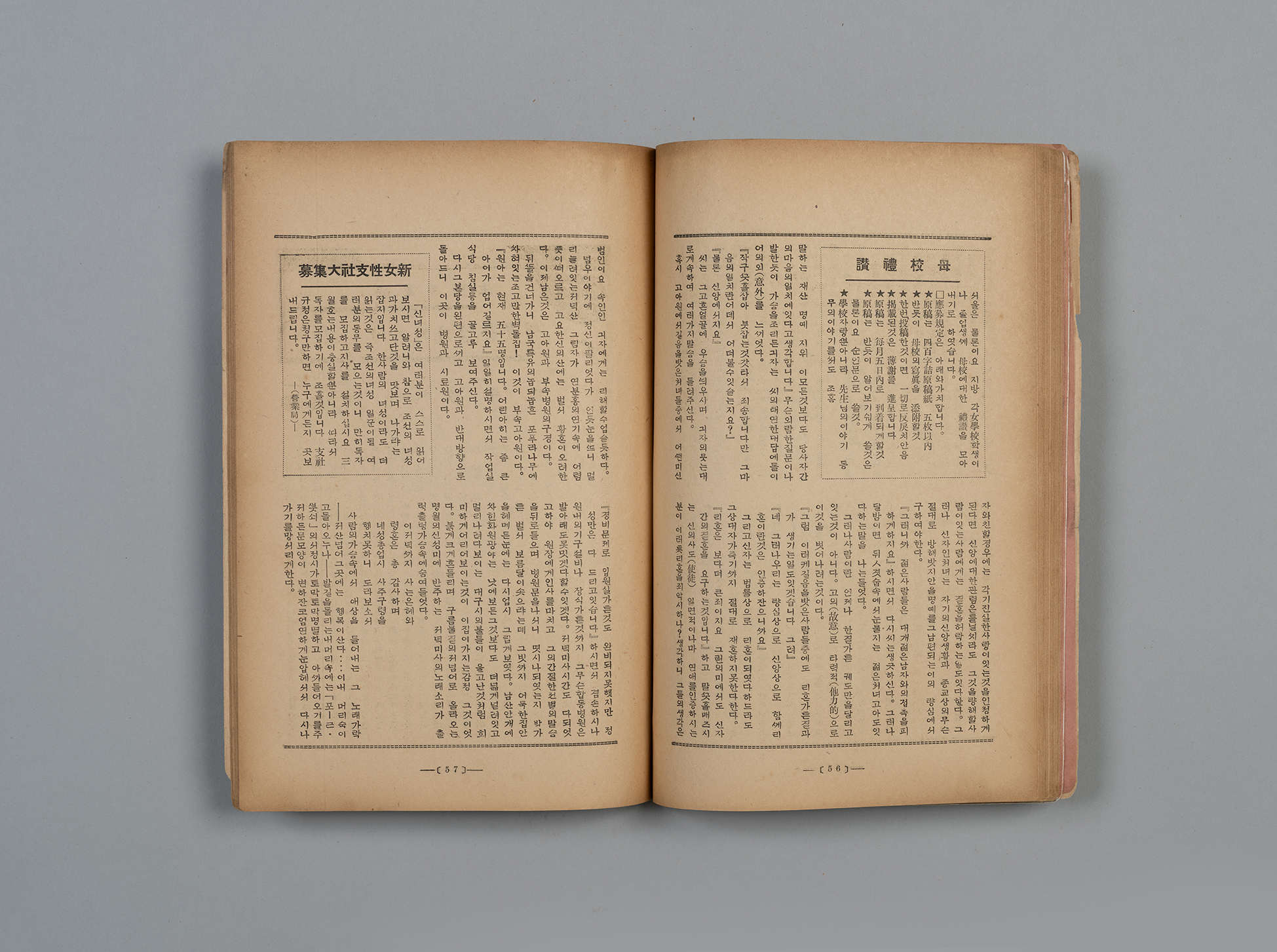신여성(新女性) 제6권 10호(1932.10)38